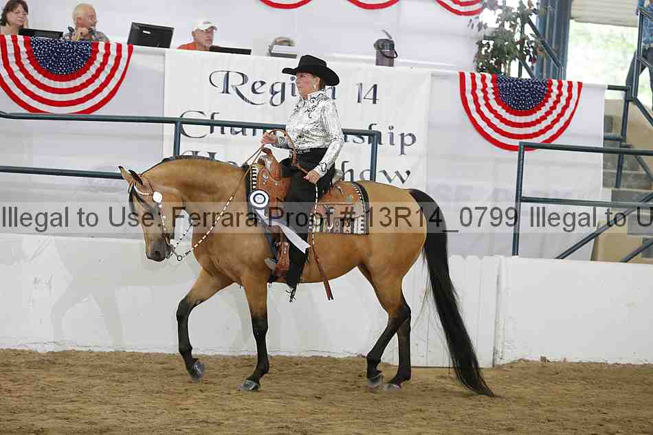 Proof 13r14_0799