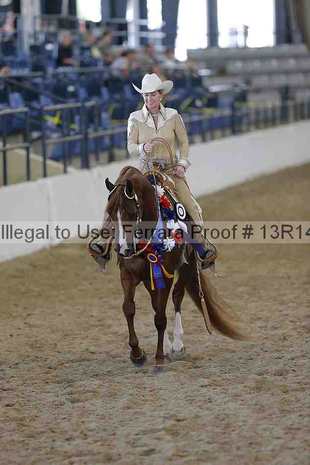 Proof 13r14_0819