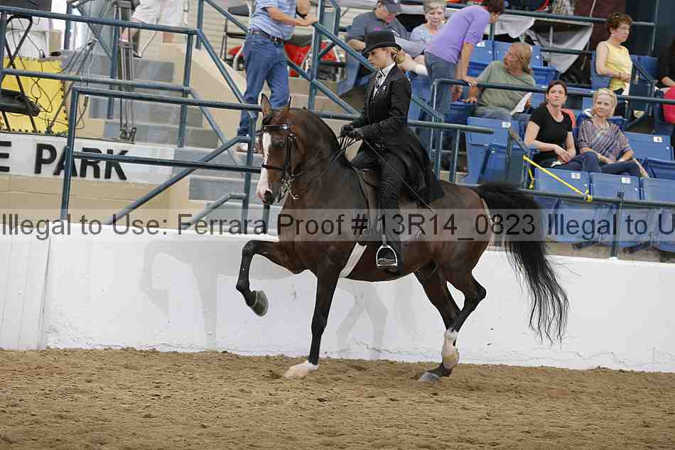 Proof 13r14_0823