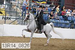 13r14_0826 proof