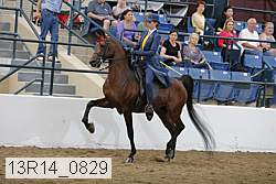 13r14_0829 proof