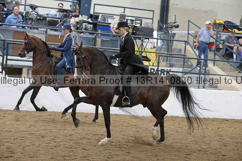 Proof 13r14_0830