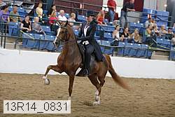 13r14_0831 proof