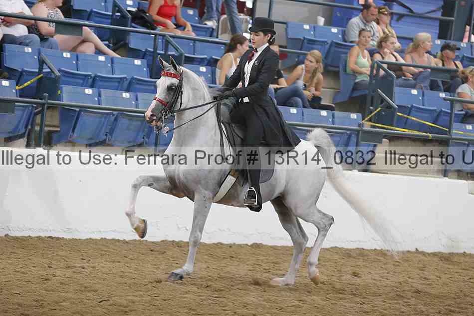 Proof 13r14_0832