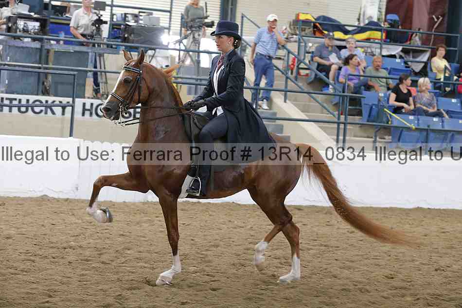 Proof 13r14_0834