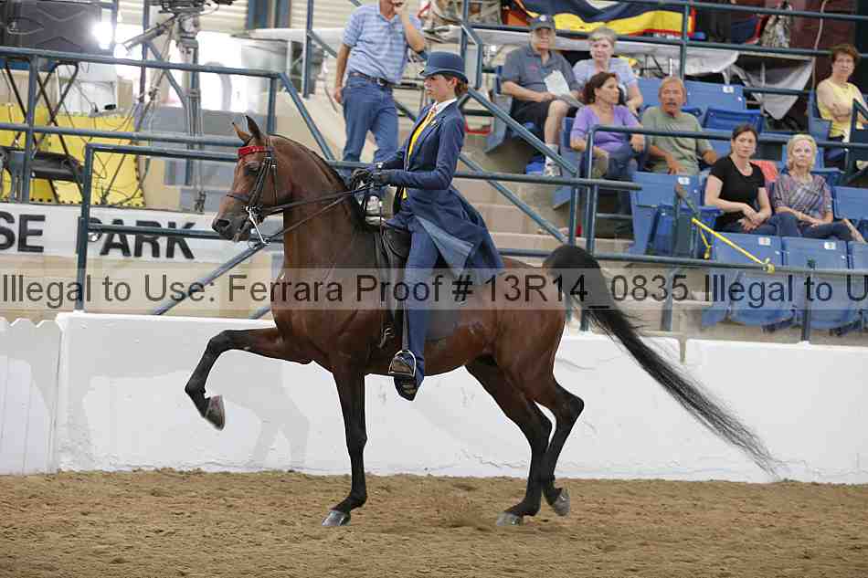 Proof 13r14_0835