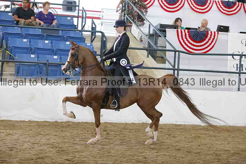 Proof 13r14_0843