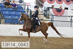 13r14_0843 proof