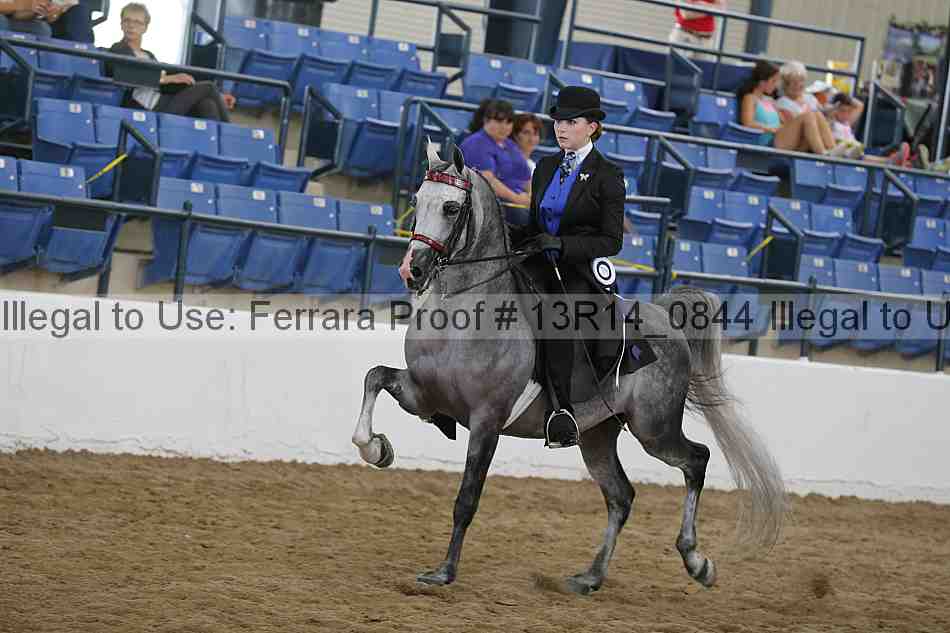 Proof 13r14_0844