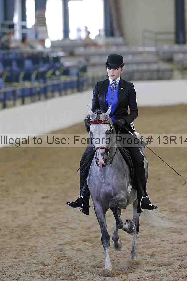 Proof 13r14_0848