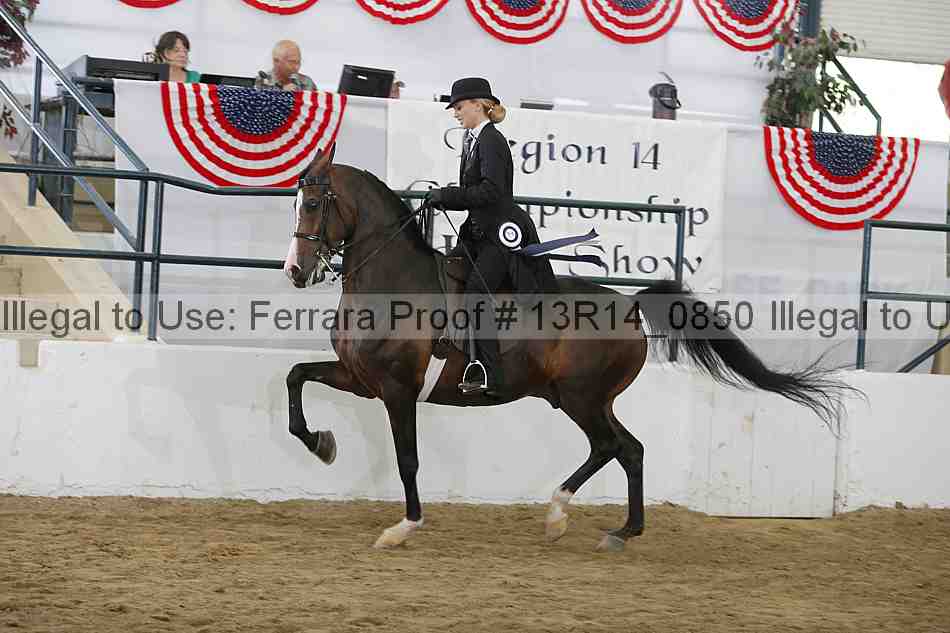 Proof 13r14_0850