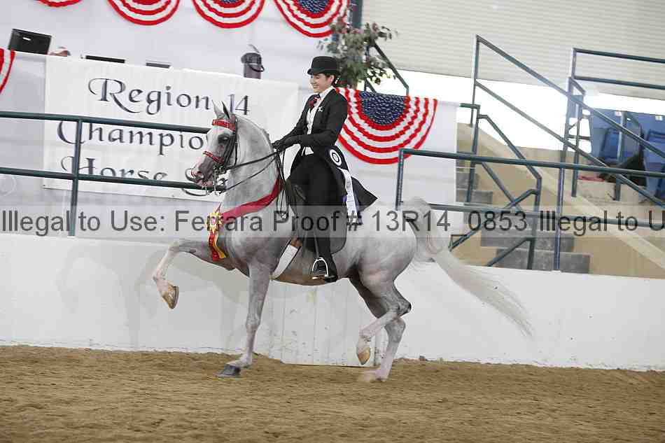 Proof 13r14_0853