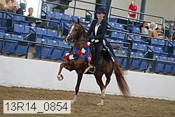 13r14_0854 proof