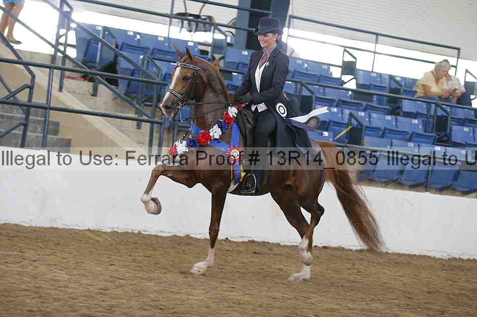 Proof 13r14_0855