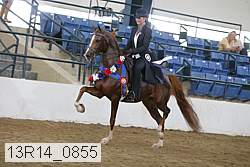 13r14_0855 proof