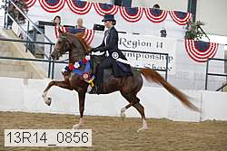 13r14_0856 proof