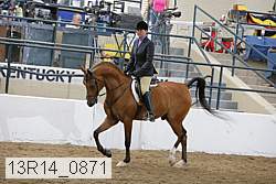 13r14_0871 proof