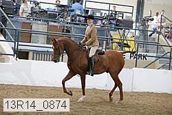 13r14_0874 proof