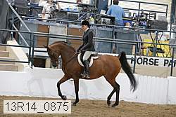 13r14_0875 proof
