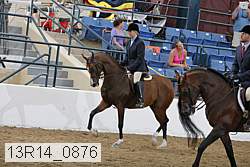 13r14_0876 proof