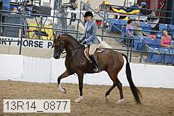 13r14_0877 proof