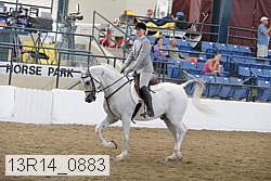 13r14_0883 proof