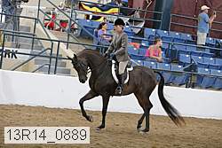 13r14_0889 proof