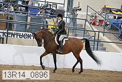 13r14_0896 proof