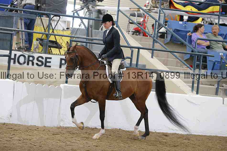 Proof 13r14_0899