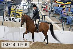 13r14_0899 proof