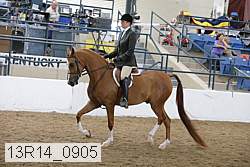 13r14_0905 proof