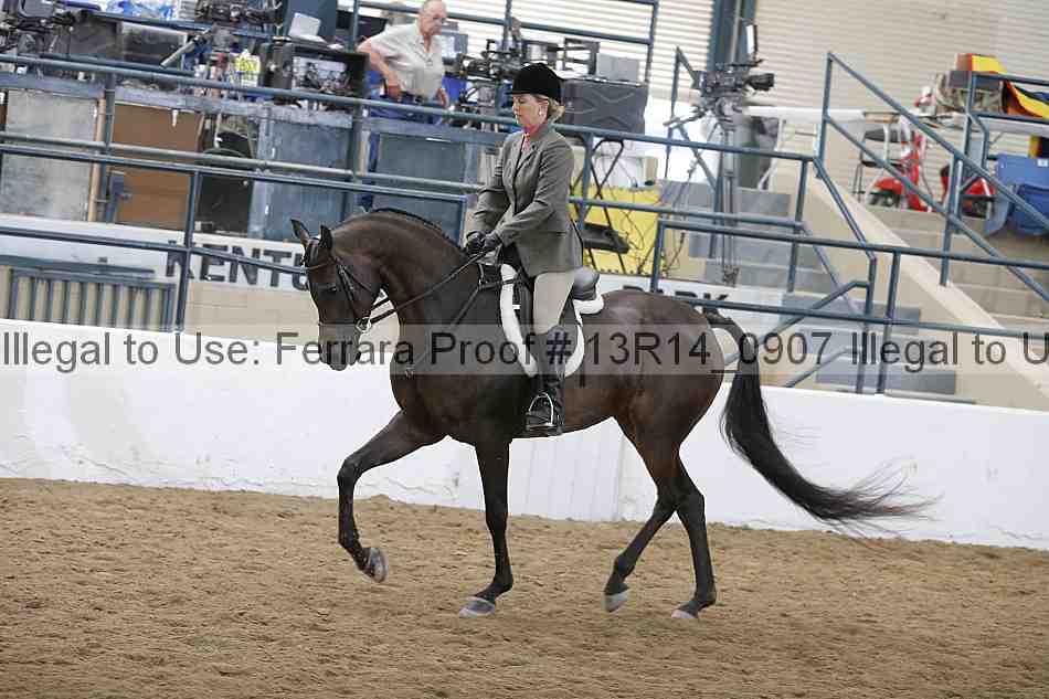Proof 13r14_0907