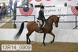 13r14_0909 proof