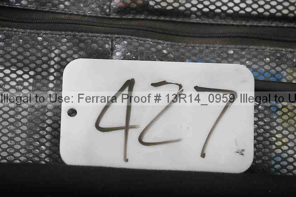 Proof 13r14_0959