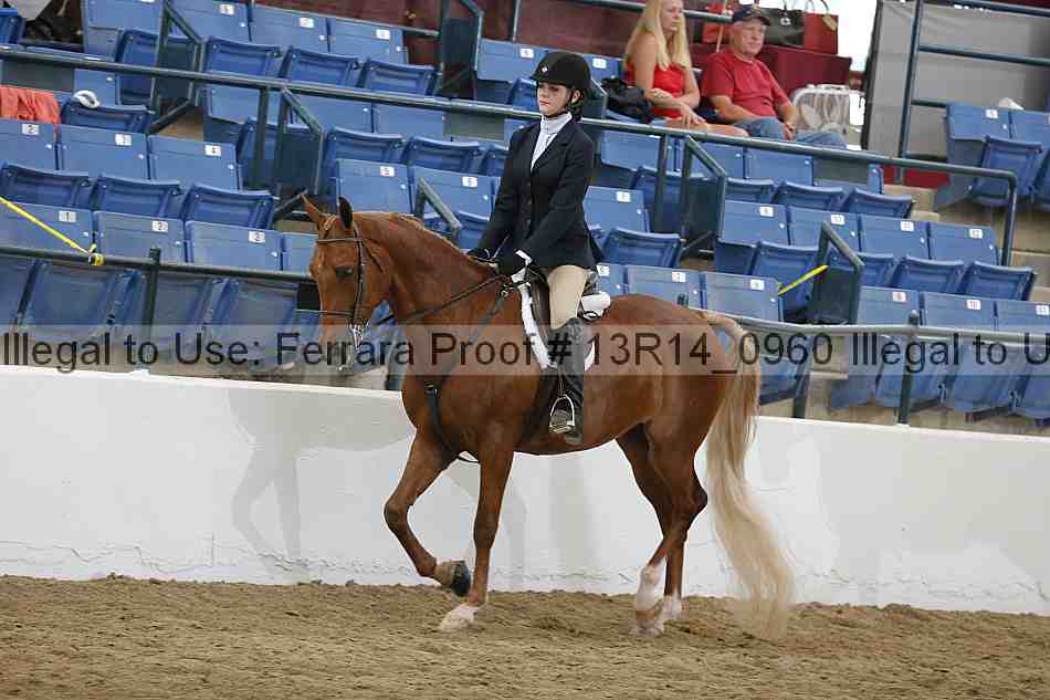 Proof 13r14_0960
