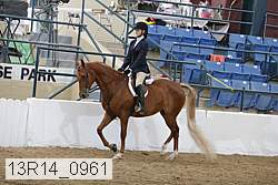 13r14_0961 proof