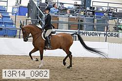 13r14_0962 proof