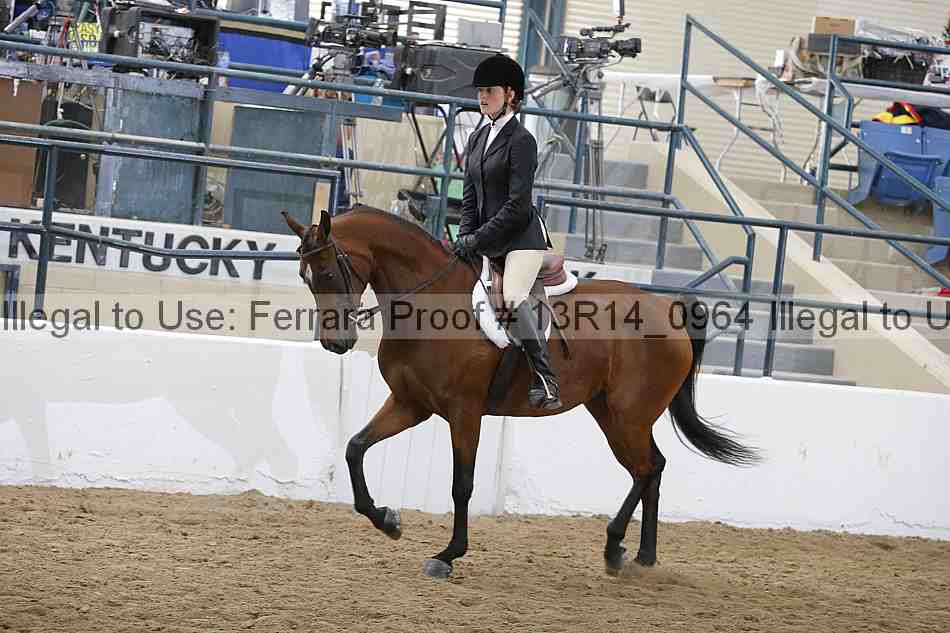 Proof 13r14_0964