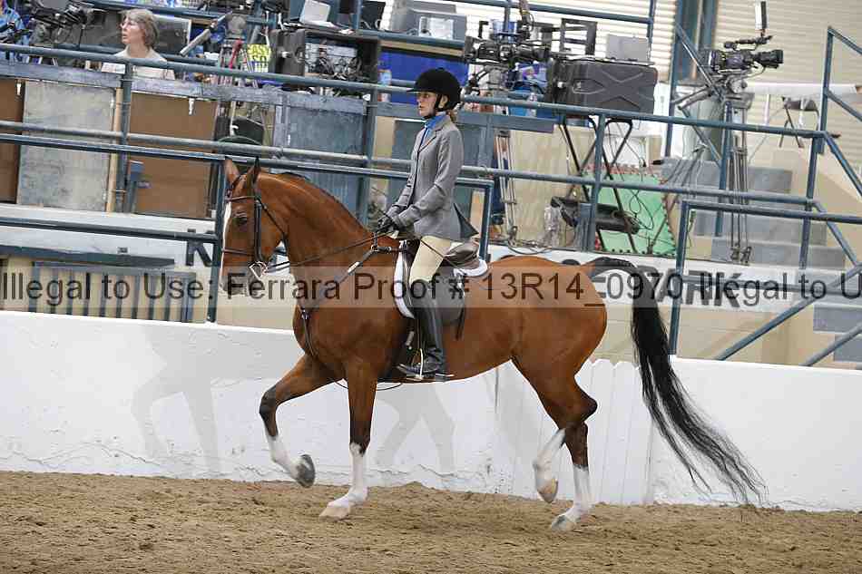 Proof 13r14_0970