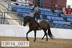 13r14_0971 proof