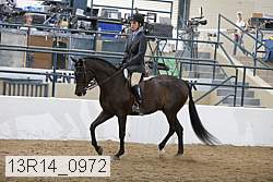 13r14_0972 proof