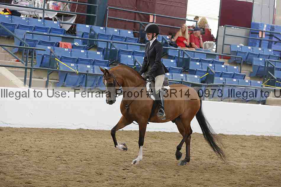 Proof 13r14_0973