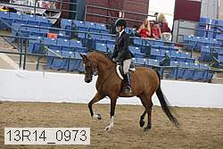13r14_0973 proof