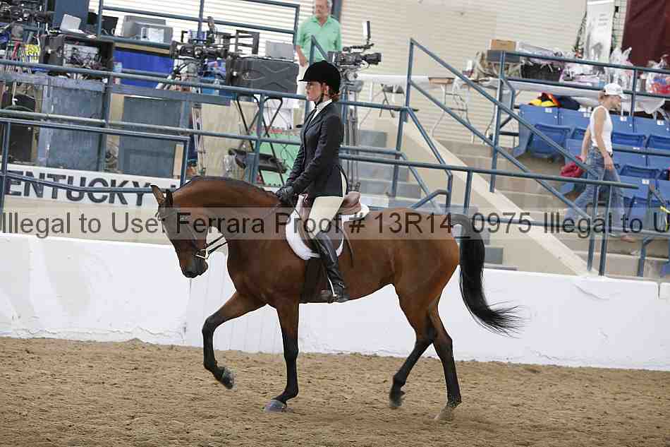 Proof 13r14_0975