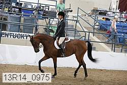 13r14_0975 proof
