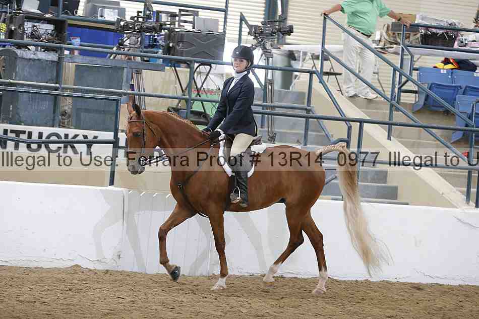 Proof 13r14_0977
