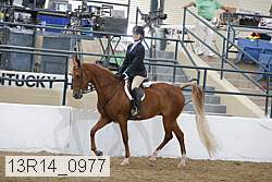 13r14_0977 proof