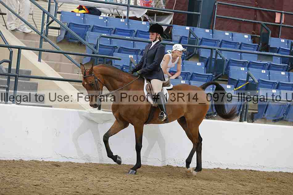 Proof 13r14_0979
