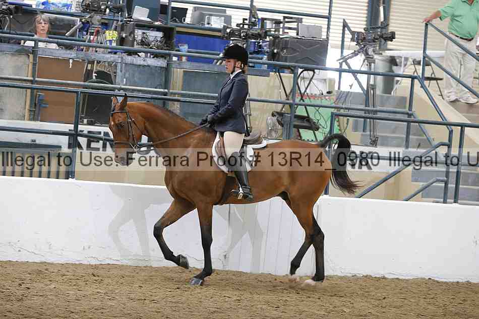Proof 13r14_0980