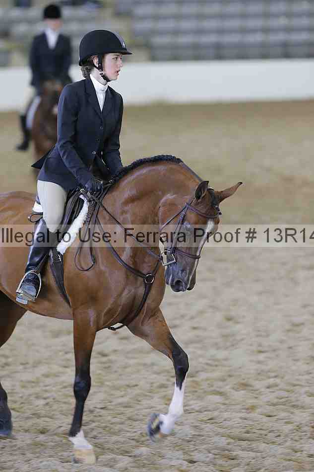 Proof 13r14_0986